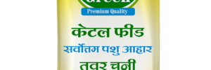 RP Green Toor Chunni (Cattle Feed): The Nutritional Foundation