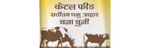 RP Green Chana Chunni (Cattle Feed): The Nutritional Foundation